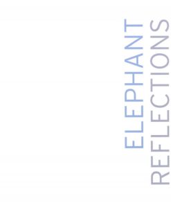 Elephant Reflections Dale Peterson